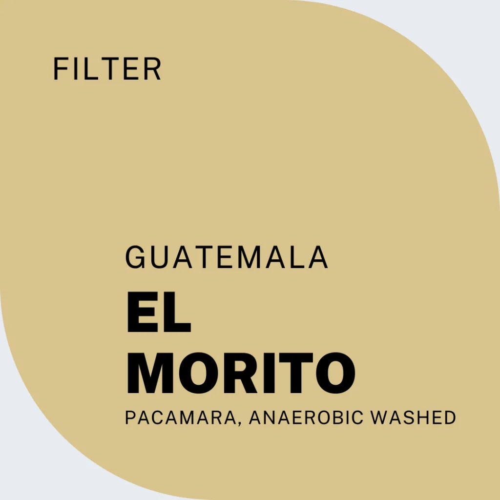 coffee from guatemala