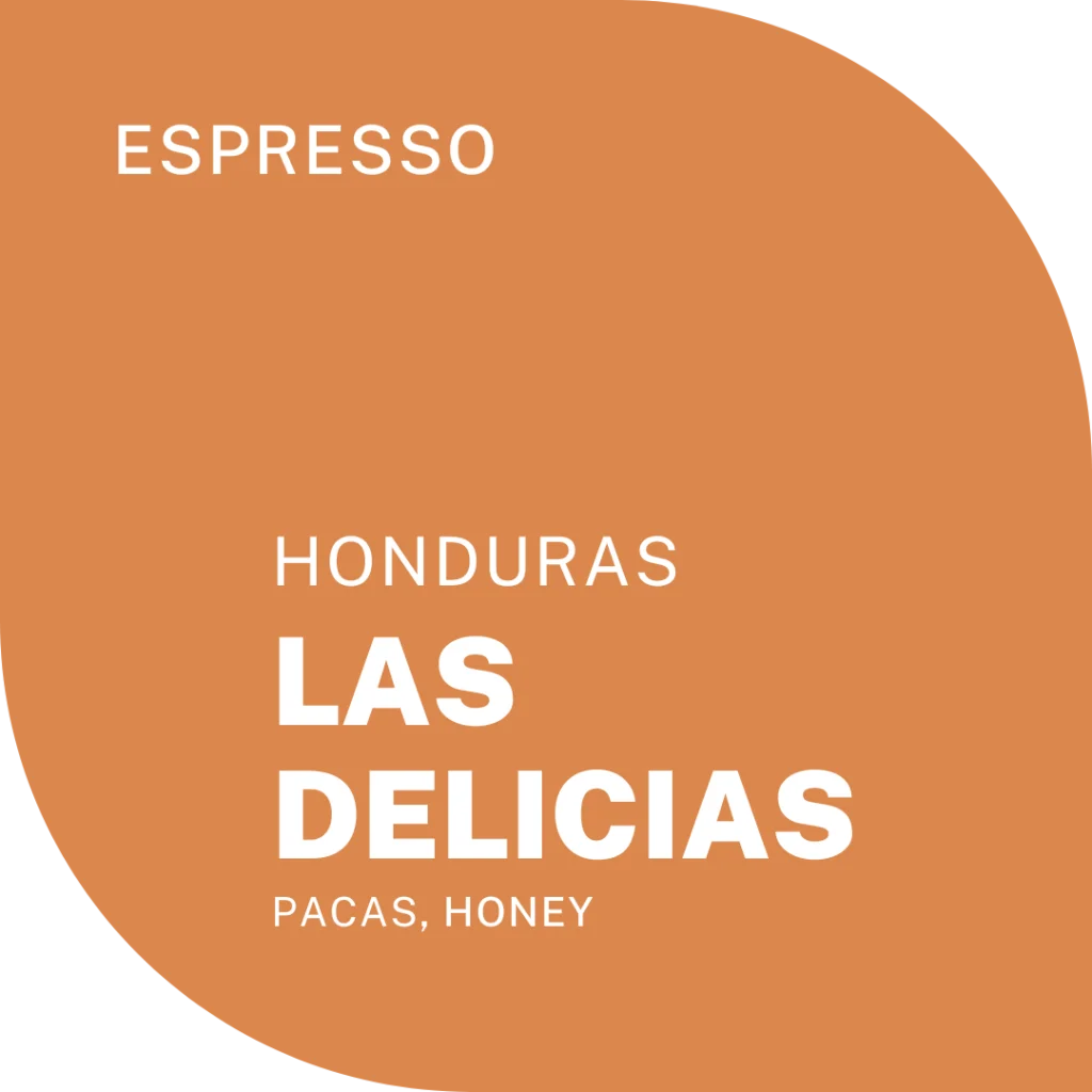 coffee from honduras