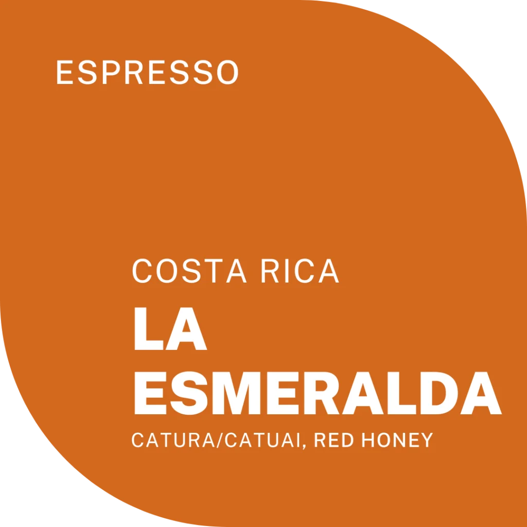 coffee from costa rica